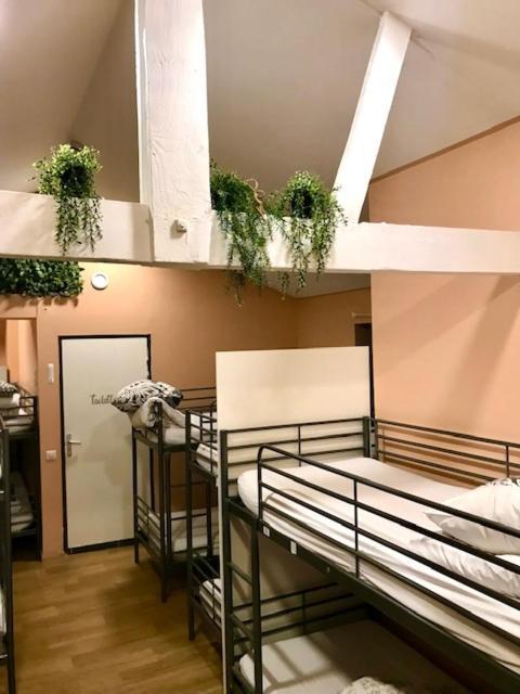 Trendy Hostel